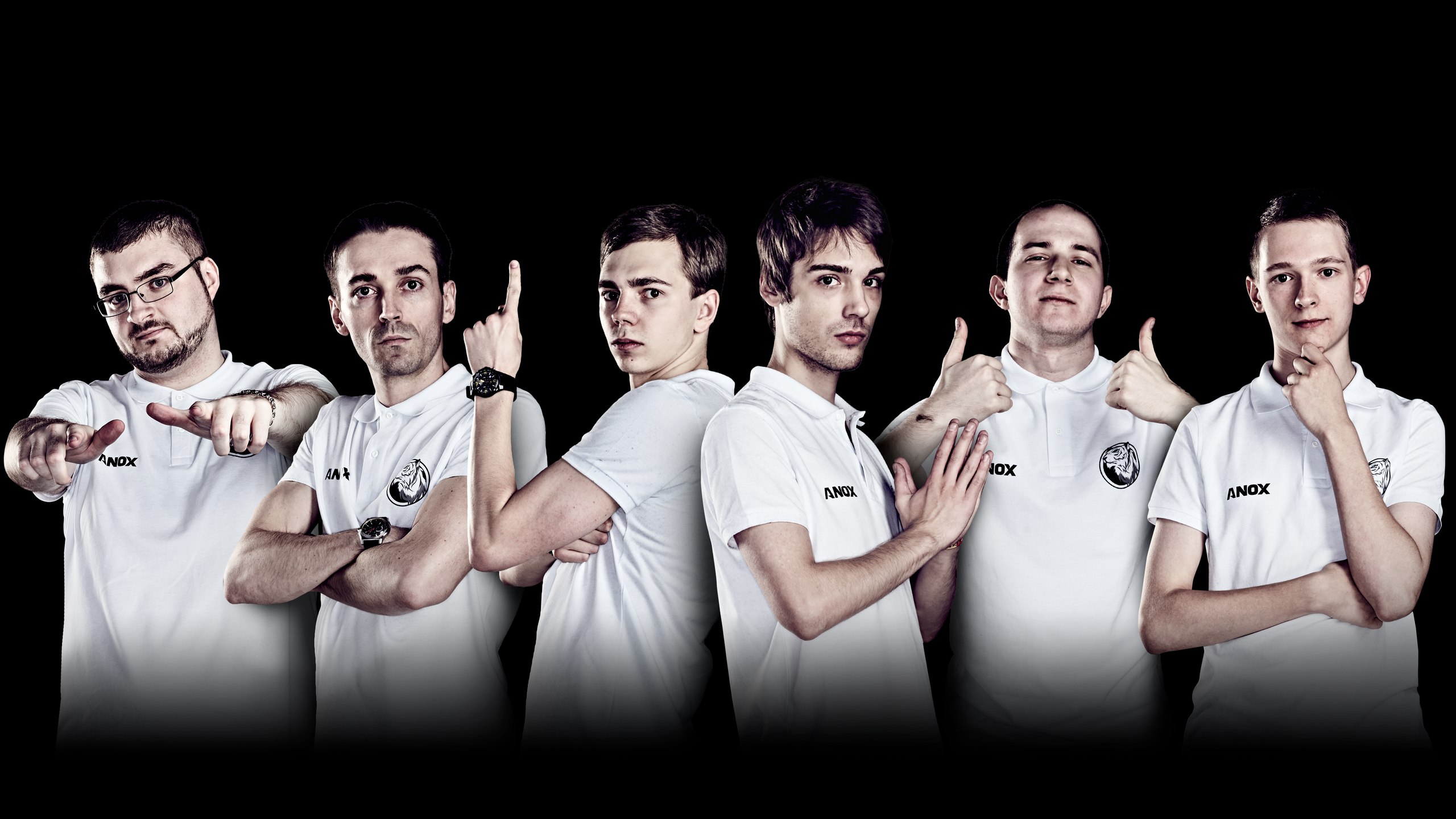 Наклейка team ldlc 2014
